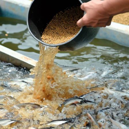 مشخصات غذای ماهی تترا پرو