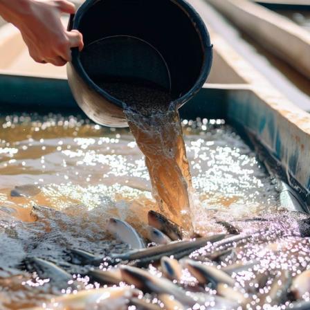 مشخصات خوراک ماهی صنعتی